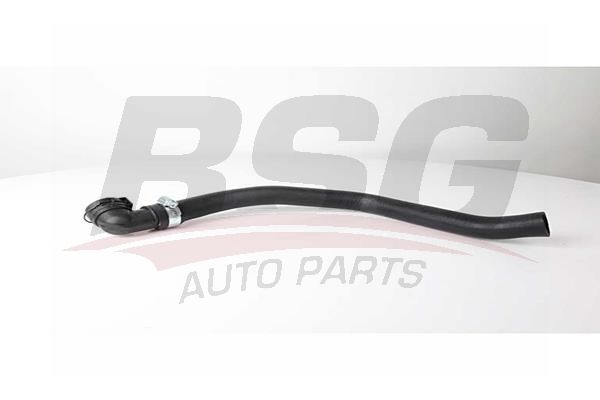 Hose Line - BSG BSG 25-720-005