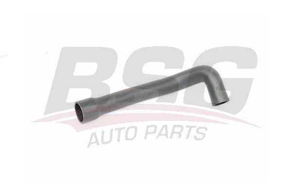 Hose Line - BSG BSG 25-720-037