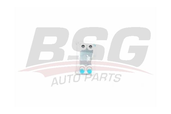 Heat Exchanger - BSG BSG 30-506-003