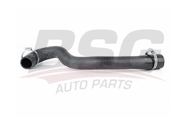 Hose Line - BSG BSG 30-720-146