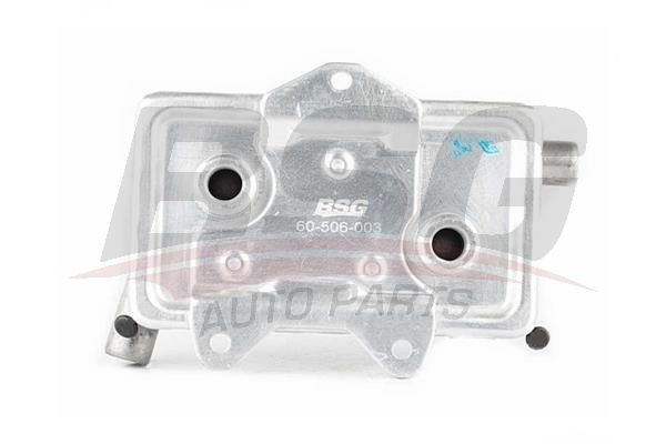 Heat Exchanger - BSG BSG 60-506-003