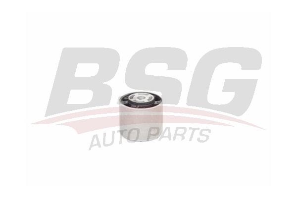 Mounting  - BSG BSG 60-700-193