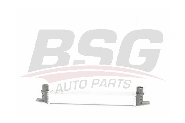 Heat Exchanger - BSG BSG 70-535-002
