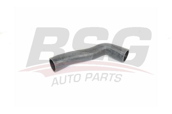 Hose Line - BSG BSG 90-720-136