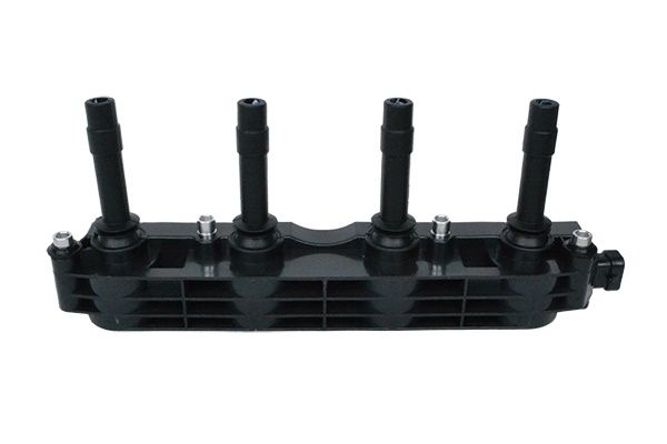Ignition Coil - ASAM 74118