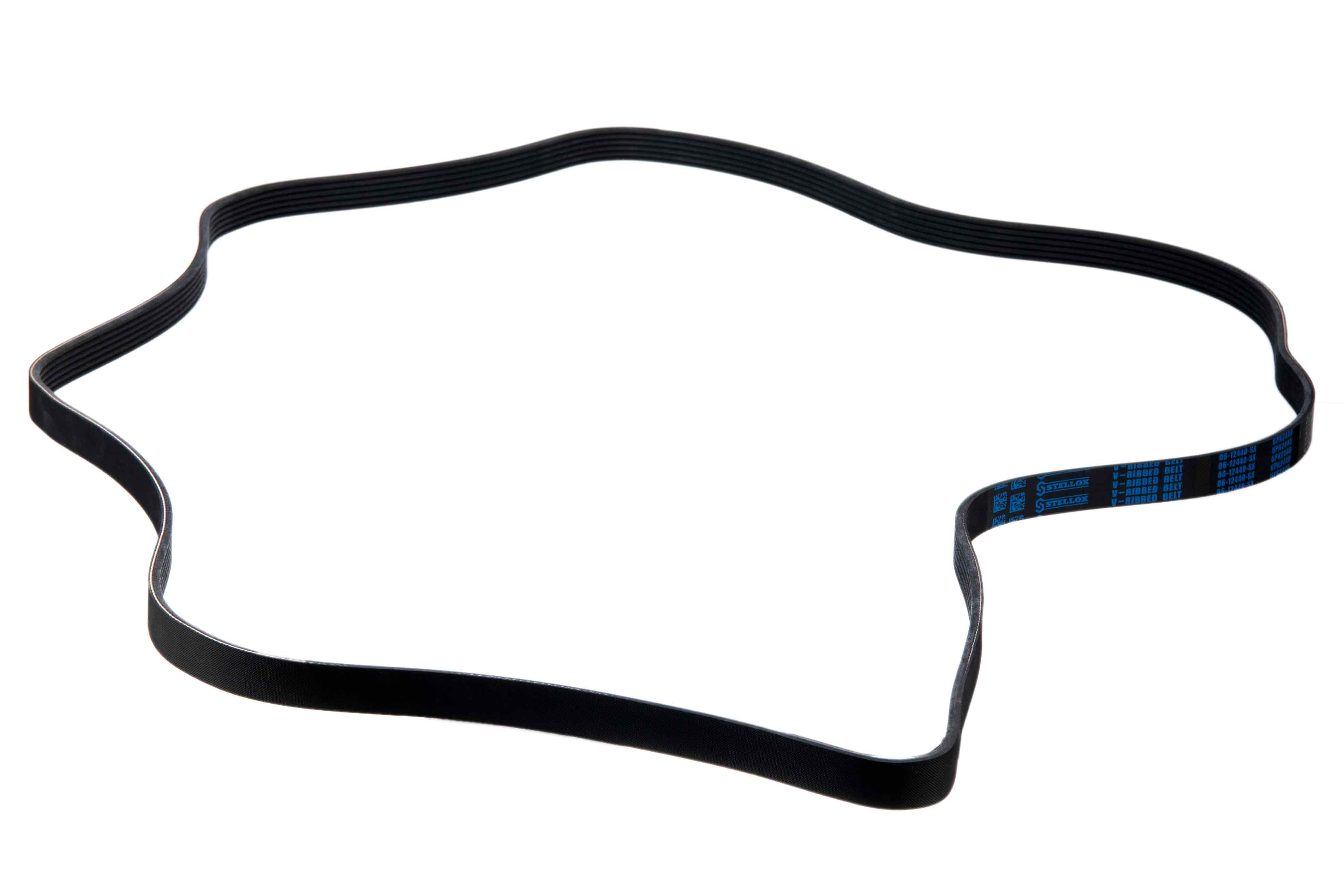 Belt