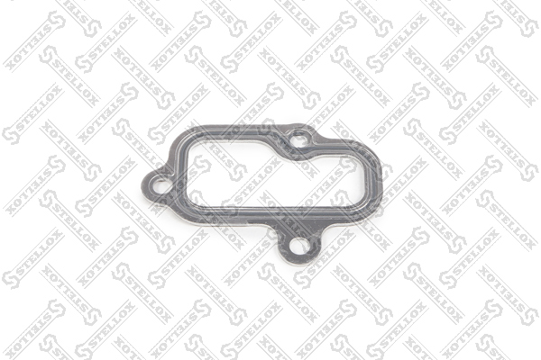Seal / Gasket HCV