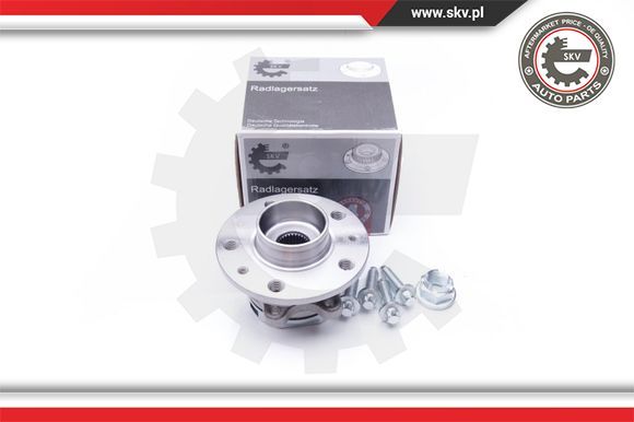 Bearing Kit - ESEN SKV 29SKV172