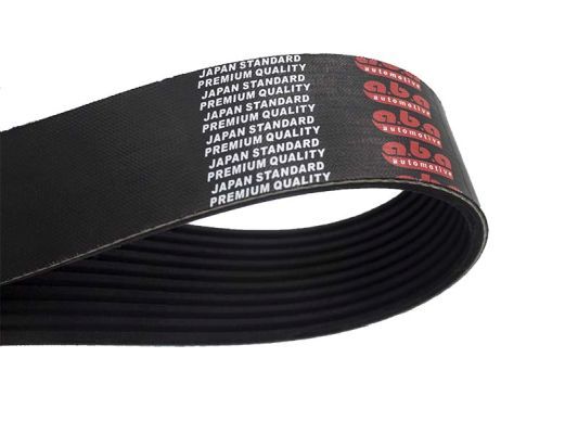 Belt - A.B.A 10PK1342