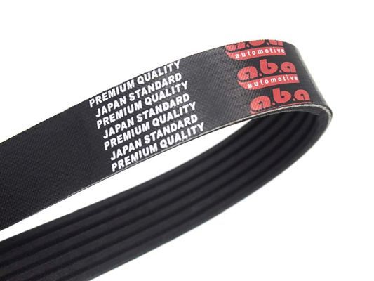 Belt - A.B.A 6PK1018