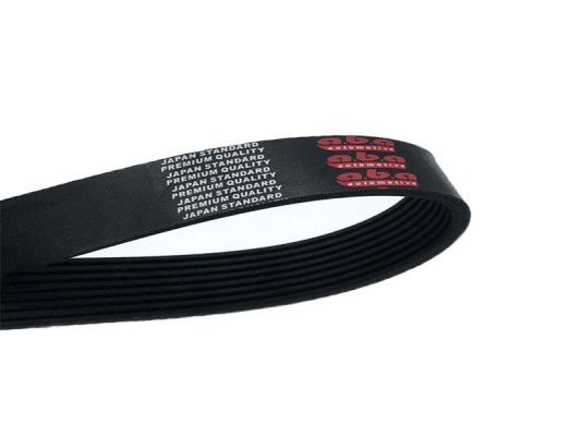 Belt - A.B.A 8PK1535