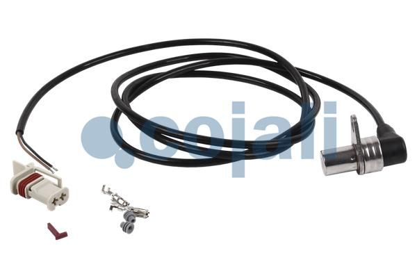 HCV - COJALI 2261147