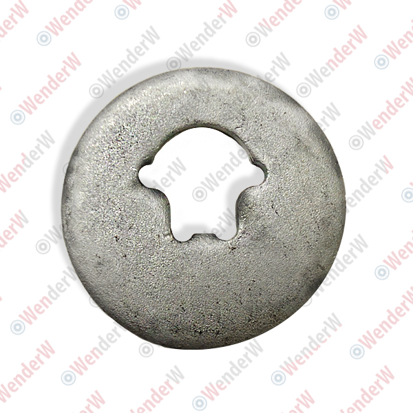 Шайба эксцентриковая BMW X5 E70 (07-13), X6 E71 (08-14) - WENDERW WEL087