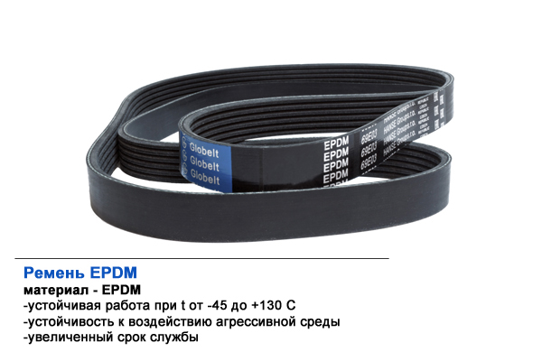 Ремень приводной поликлиновой - Globelt 5PK1885EPDM