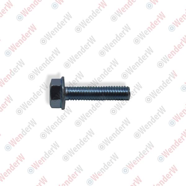 Болт 6х25 honda jazz (02-...) - WENDERW WEL135