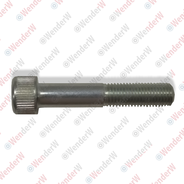 Болт натяжителя honda civic 4d (06-12) - WENDERW WEL011