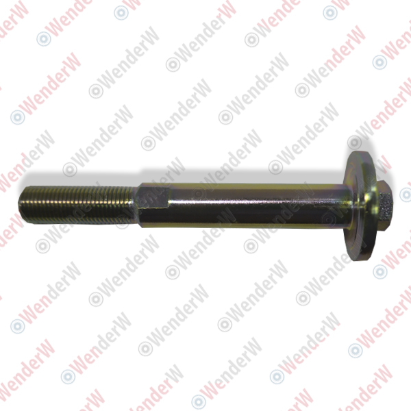 Болт регулировочный honda stream (01-05), cr-v (01-07) - WENDERW WEL069