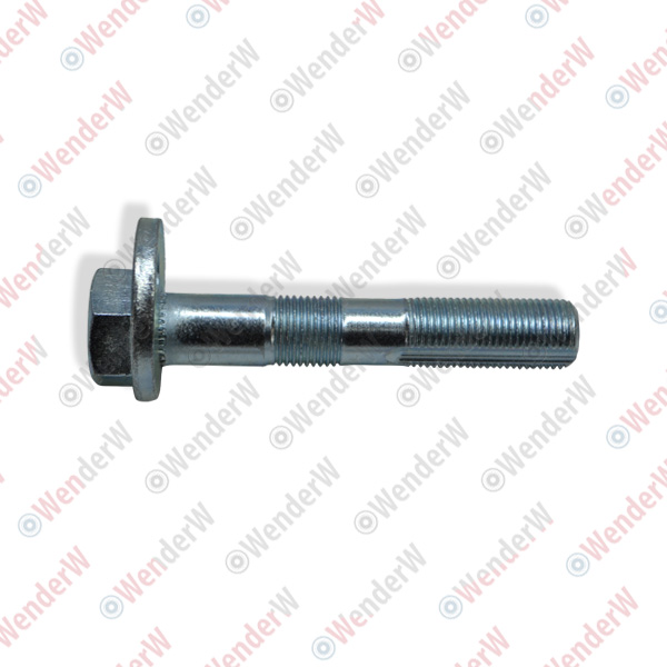 Болт регулировочный toyota lexus ls460/460l (08-09) - WENDERW WEL293