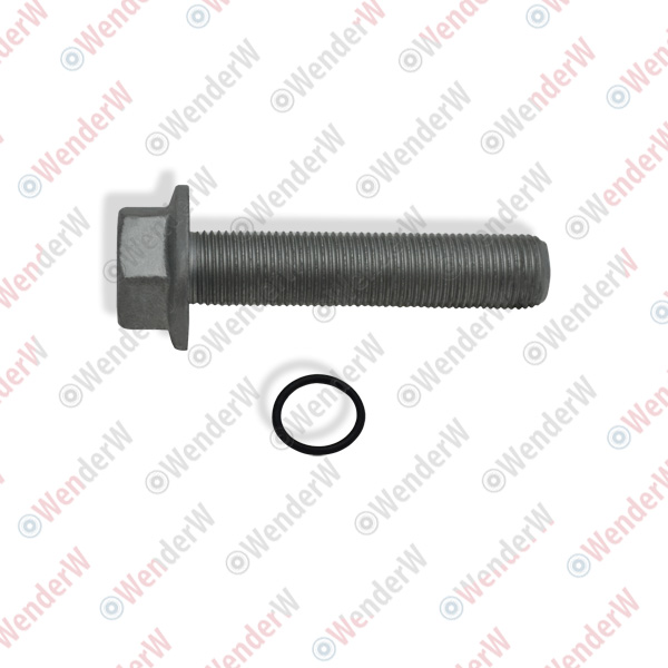 Болт шкива коленвала skoda octavia (a5 1z-) (04-13)/vw golf v (03…) - WENDERW WEL294
