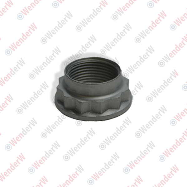 Гайка задней ступицы (m24x1.5) mercedes w210 - WENDERW WEL273