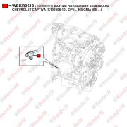 Датчик положения коленвала chevrolet captiva (c100)(06-10), opel insignia (08-…) - WENDERW WEKR0613