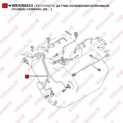 Датчик положения коленвала hyundai carnival (98-…) - WENDERW WEKR0633