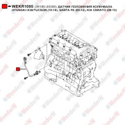 Датчик положения коленвала hyundai ix35/tucson (10-15), santa fe (05-12), kia cerato (09-13) - WENDERW WEKR1095