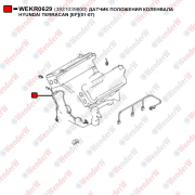Датчик положения коленвала hyundai terracan [ef](01-07) - WENDERW WEKR0629