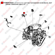 Датчик положения коленвала jeep grand cherokee (wk2) (10-…) - WENDERW WEKV022