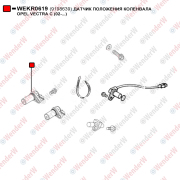Датчик положения коленвала opel vectra c (02-...) - WENDERW WEKR0619