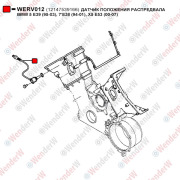 Датчик положения распредвала bmw 5 e39 (95-03), 7e38 (94-01), x5 e53 (00-07) - WENDERW WERV012