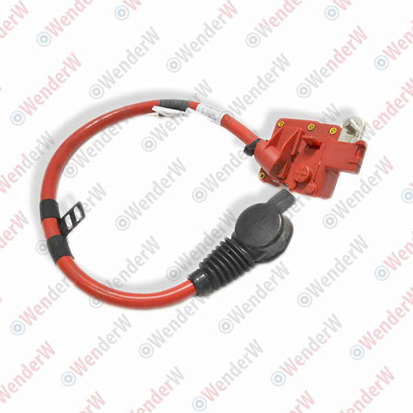 Клемма аккумулятора bmw 7 f01/f02 (08-15) - WENDERW WEKR0977