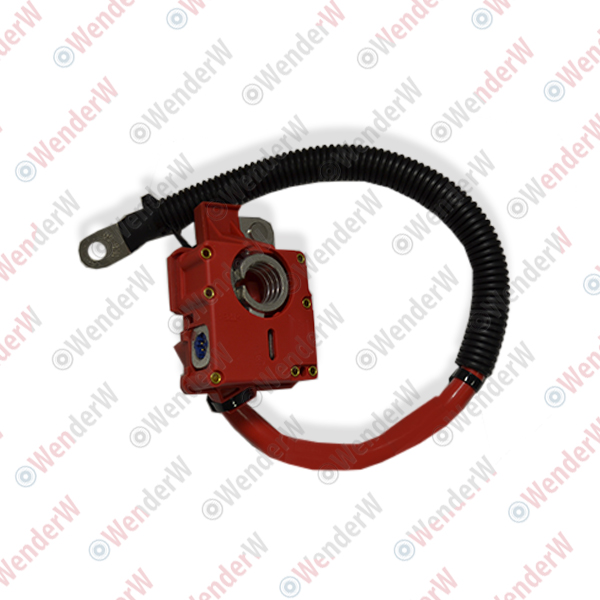 Клемма аккумулятора bmw x5 e70 (07-13), x6 e71 (08-14) - WENDERW WEKR0975