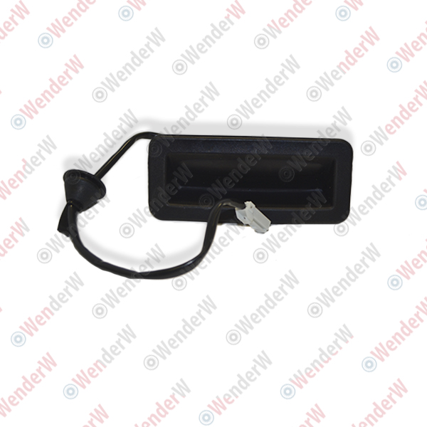 Кнопка открывания задней багажной двери ford c-max (11) - WENDERW WEKR1112