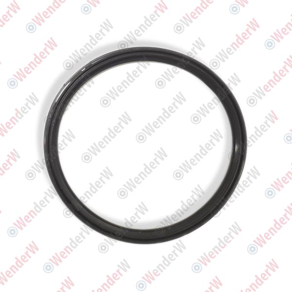 Кольцо уплотнительное bmw 3e90/e91 (05-12), 5e60/e61 (03-09) - WENDERW WEKK014