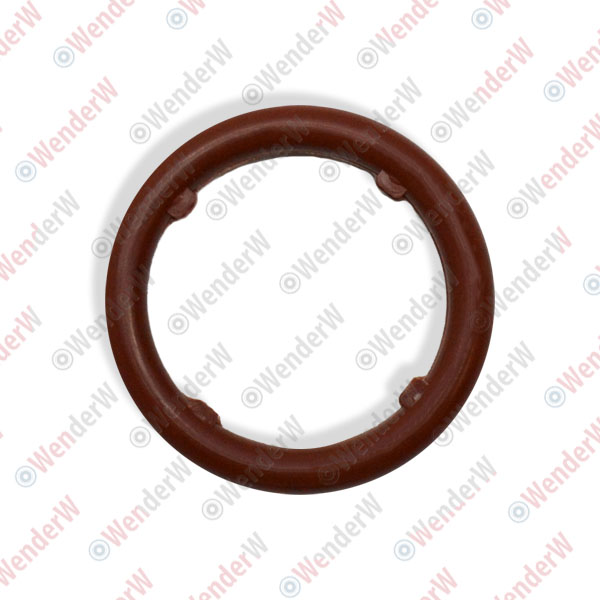 Кольцо уплотнительное ford c-max/focus/transit (06…) - WENDERW WEKK046