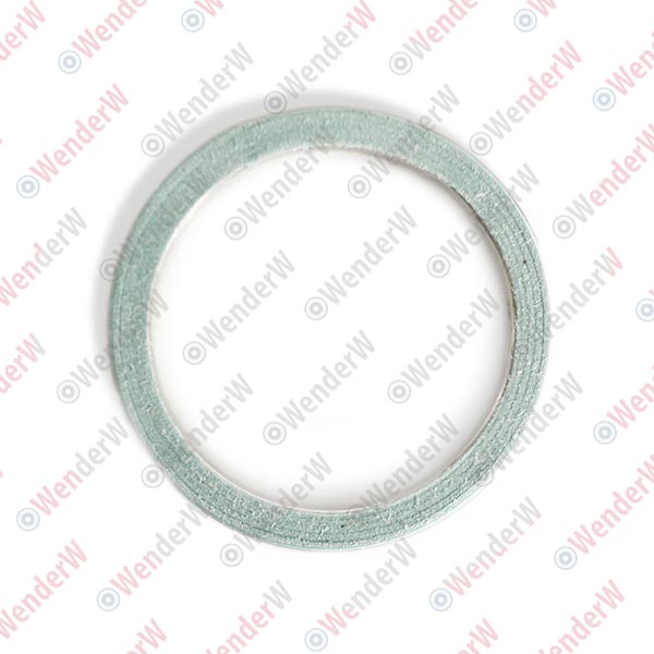 Кольцо уплотнительное lexus is 200/300 (99-05), toyota highlander i (01-06) 50х62х5 - WENDERW WEPR0074