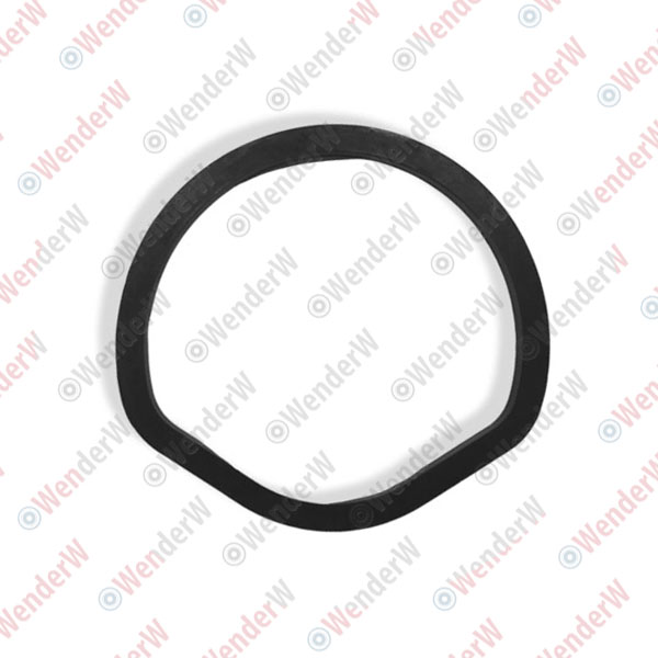 Кольцо уплотнительное mercedes w203 (00-06), w210 (96-02) - WENDERW WEKK048