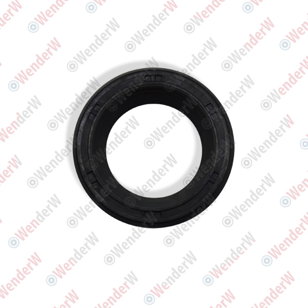 Кольцо уплотнительное mitsubishi pajero/montero iv (07-…) - WENDERW WEKK018