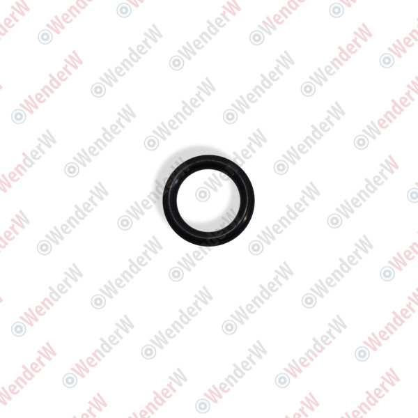 Кольцо уплотнительное nissan almera (00-05), murano (04-08) - WENDERW WEKK133