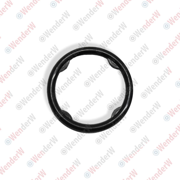 Кольцо уплотнительное nissan almera (06-12) - WENDERW WEKK156