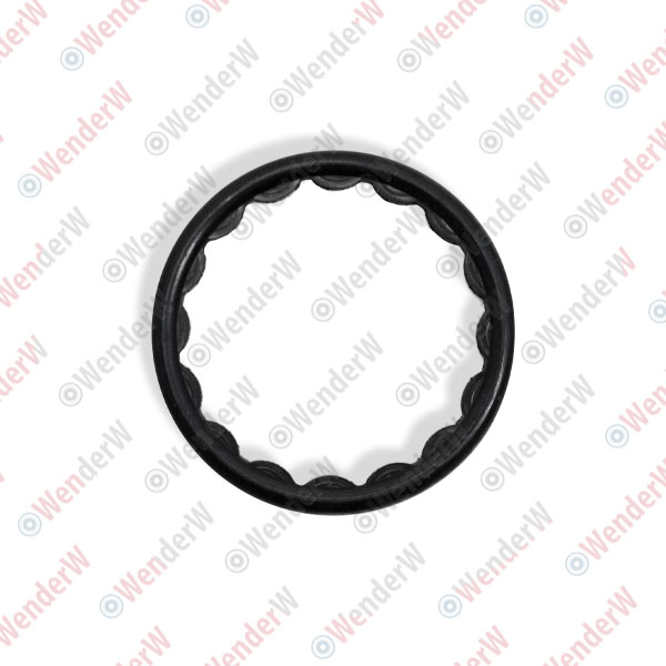 Кольцо уплотнительное nissan almera (06-12) - WENDERW WEKK157