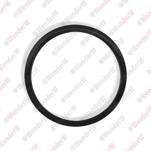Кольцо уплотнительное nissan infiniti m35/45 (06-10) - WENDERW WEKK084