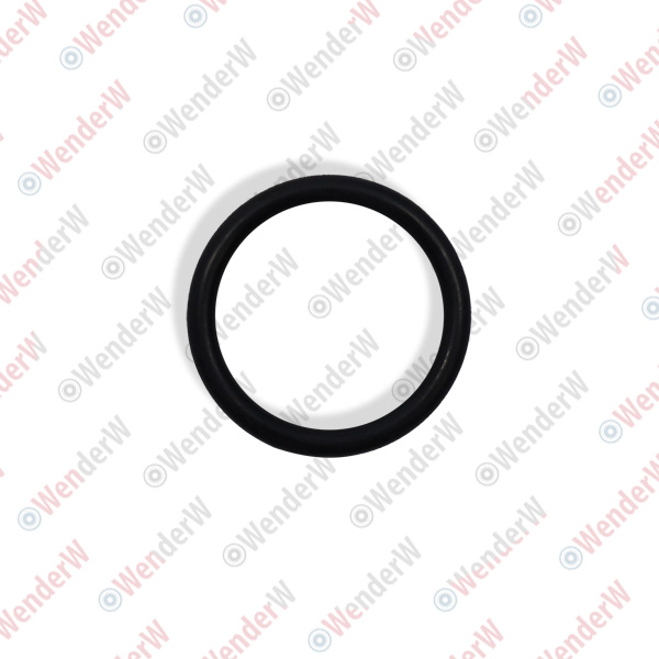 Кольцо уплотнительное nissan infiniti m35/45 (06-10) - WENDERW WEKK086