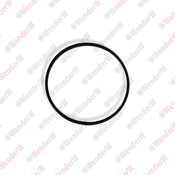 Кольцо уплотнительное nissan infiniti m35/45 (06-10) - WENDERW WEKK088