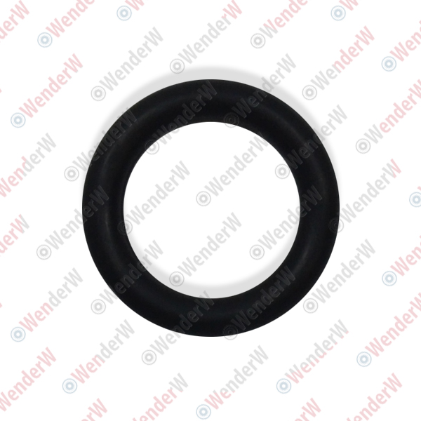 Кольцо уплотнительное nissan infiniti m35/45 (06-10) - WENDERW WEKK101
