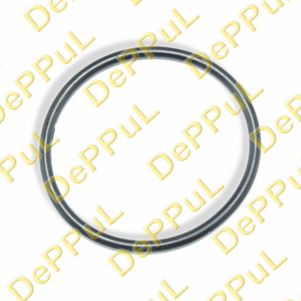 Кольцо уплотнительное дроссельной заслонки renault duster (12-...), scenic (99-03) - DePPuL DEBZ0299