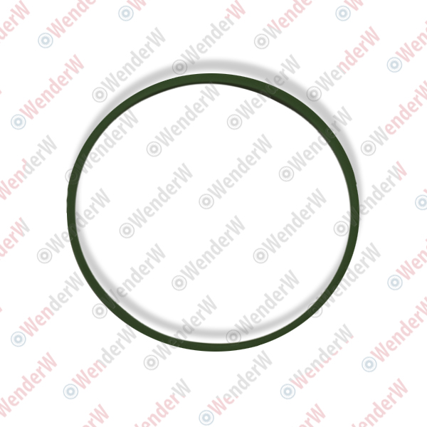 Кольцо уплотнительное дроссельной заслонки vw golf iv/bora (97-05), skoda rapid (13-…) - WENDERW WEKK022