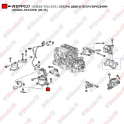 Опора двигателя передняя honda accord (08-13) - WENDERW WEPP037