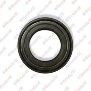 Подшипник задней ступицы ford fiesta/fusion (cbk) (01-08), focus i (98-05) 29x53x37 - WENDERW WEPK012